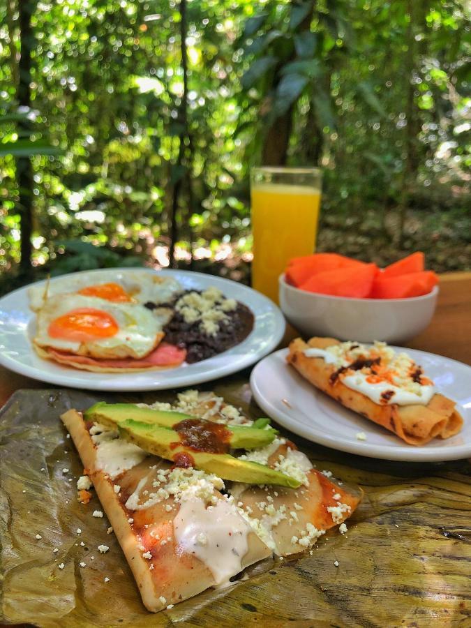 Finca Vallescondido El Caobano Eksteriør bilde