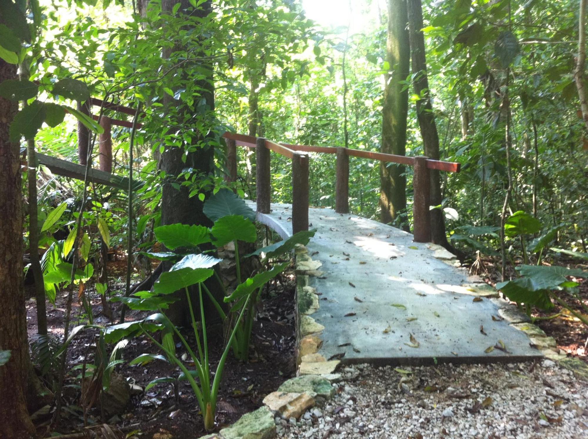 Finca Vallescondido El Caobano Eksteriør bilde