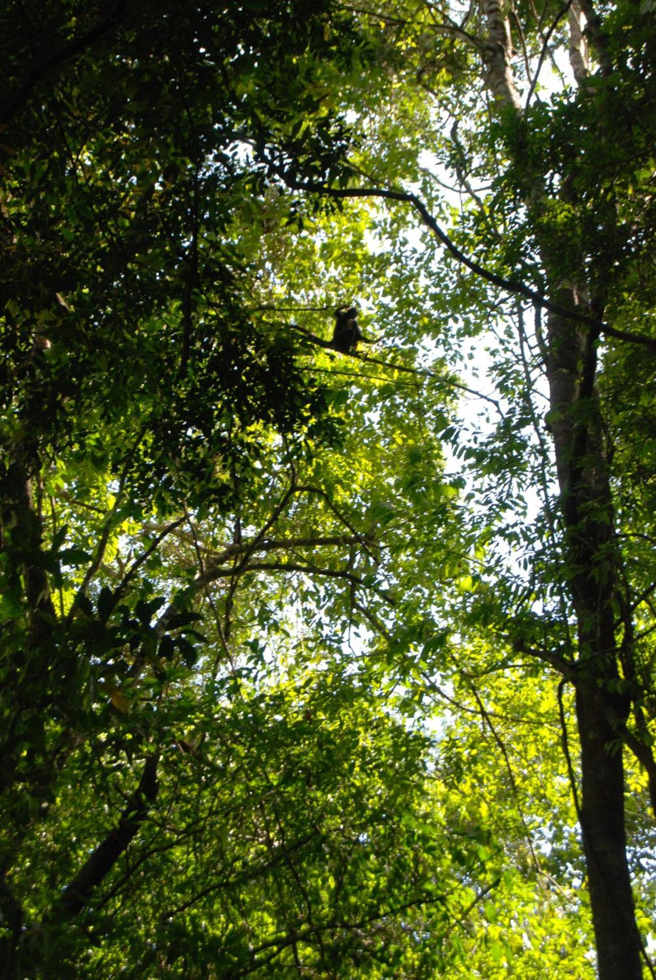 Finca Vallescondido El Caobano Eksteriør bilde