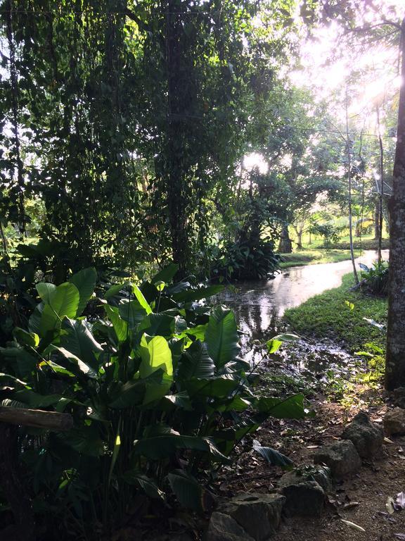 Finca Vallescondido El Caobano Eksteriør bilde